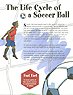 thumbnail of Life Cycle of a Soccer Ball
