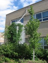 Rainwater harvesting unit designed around a building