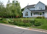 Rain garden in private yard