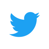 Twitter Logo Bird Blue