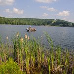 Kayak on lake with cattails in forefront.