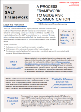 image of the SALT Framework first page
