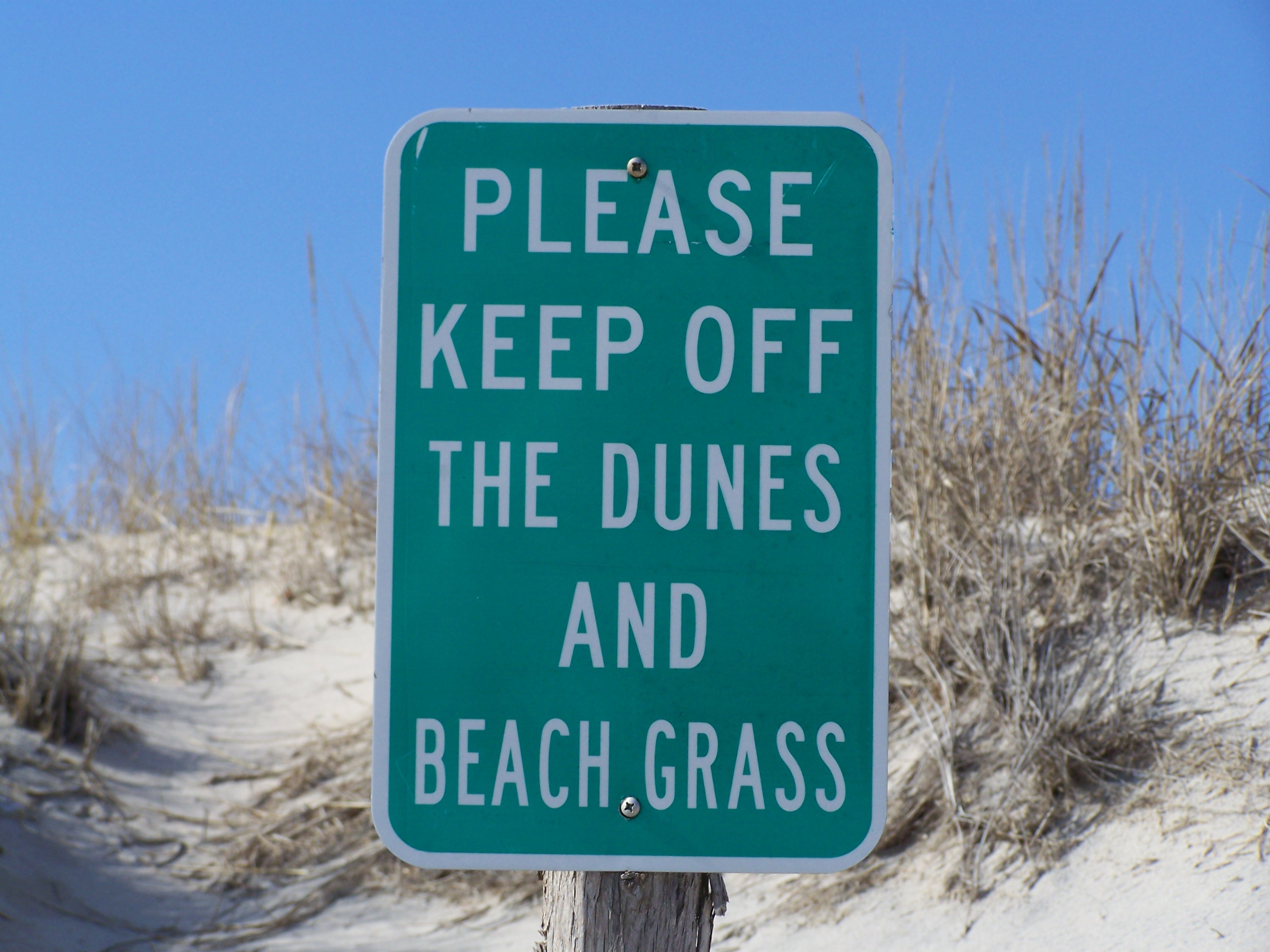 Photo of sign to keep off the dunes and beach grass.