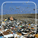 Brownfields logo