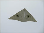 GWNO and Public Laboratory Work With Dr King 4th Graders to Learn How Kites Work