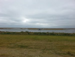 Picture of a wetland marsh