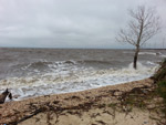 Shoreline Erosion at Potential Pier Site