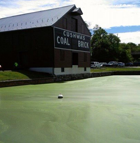 Cushwa Basin during an algae bloom