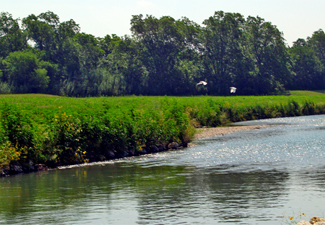 San Antonio River Basin within Bexar County (TX)