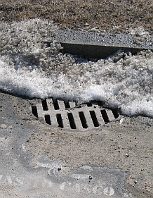 Picture from the Long Creek Watershed