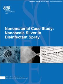 Cover of the Nanoscale Silver Final report