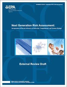 Cover of the Next Generation of Risk Assessment (External <span class=