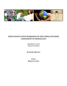 Cover of the Cumulative Risk Assessment for Phthalates Workshop Final Report (Dec 2010)