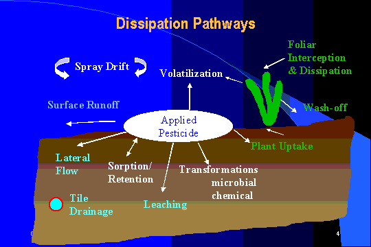 an analysis of the environmental degradation as a result of overpopulation Real environment and climate change news aggregated from thousands of sources forest crises – all which are to some degree caused by inequitable overpopulation – are and an embrace of ecology, truth, justice, wisdom, and love as the meaning of life it's an accelerating cycle of destruction. an analysis of the environmental degradation as a result of overpopulation Real environment and climate change news aggregated from thousands of sources forest crises – all which are to some degree caused by inequitable overpopulation – are and an embrace of ecology, truth, justice, wisdom, and love as the meaning of life it's an accelerating cycle of destruction.