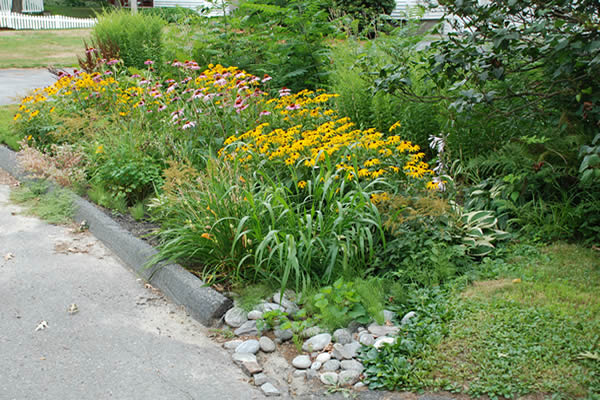 Rain Garden Design and Installation — NC Drainage, Yard and Lawn Drainage  Experts