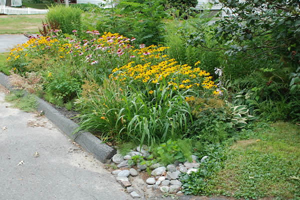 Rain Gardens Are a Win/Win