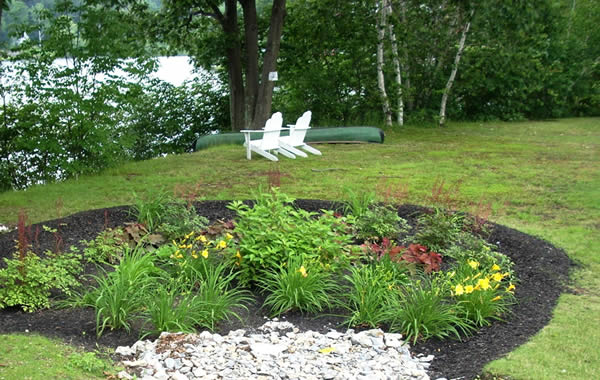 Designing and Installing A Rain Garden