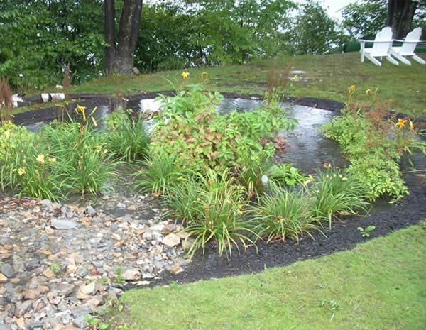 The Rain Garden Is the Smartest Way to Save Water