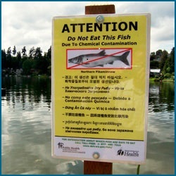 Fish Sign