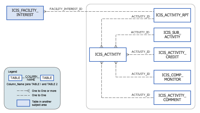 ICIS Model