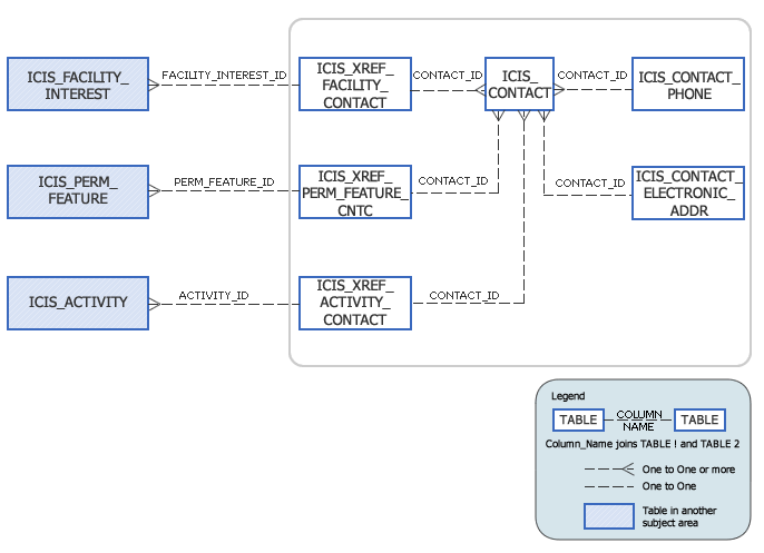 ICIS Model