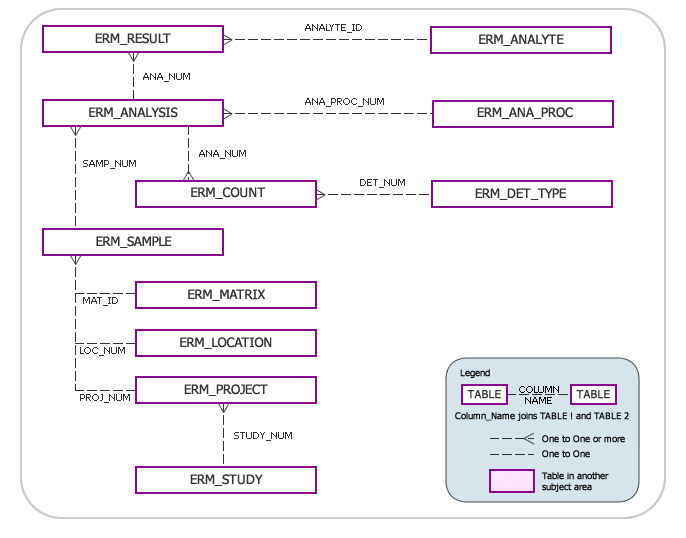 RadNet Model