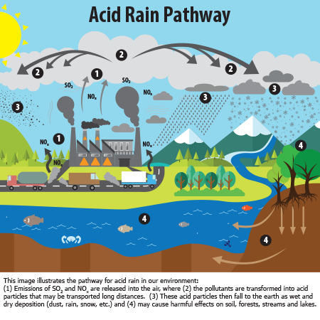 This image illustrates the pathway for acid rain in our environment.