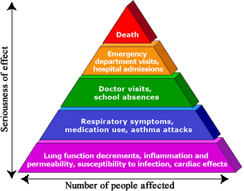 Image result for ozone health effects