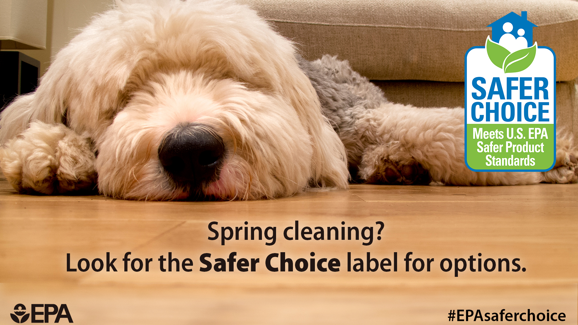 Connect with Safer Choice Safer Choice US EPA