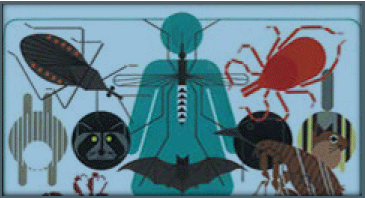 Regional Tribal Operations Committee - Region 9 | Environmental