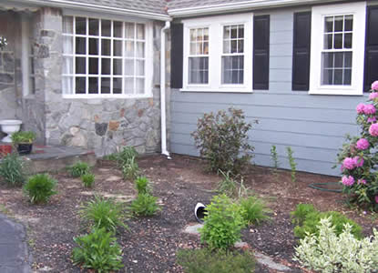 Roof runoff directed to a rain garden