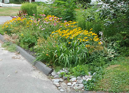 Garden,botanical gardens