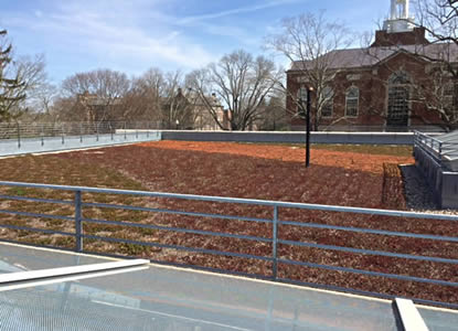 Green Roof UConn Storrs Hall Spring 2016