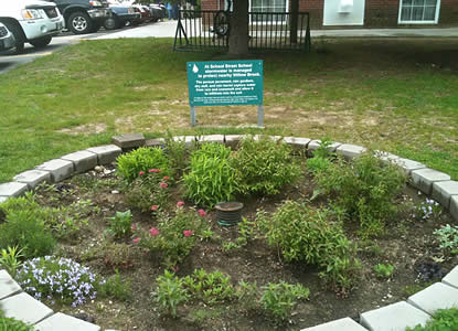 School rain garden, Rochester, NH