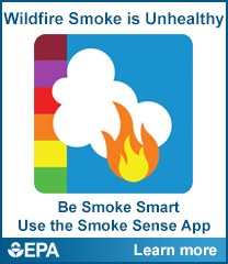 Smoke sense widget graphic version 2