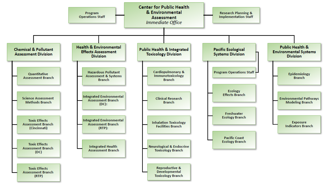 Organization Chart For The Center For Public Health And Environmental  Assessment (Cphea) | Us Epa