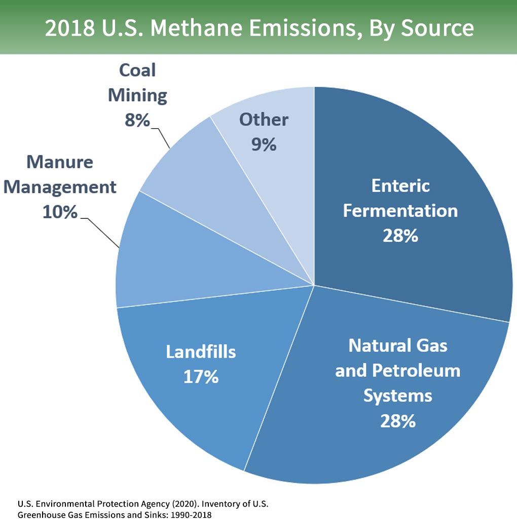 Overview Of Greenhouse Gases Greenhouse Gas Ghg Emissions Us Epa