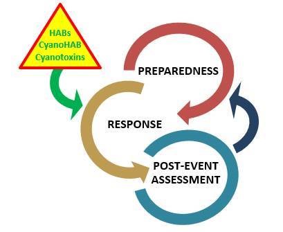 CPRT flowchart