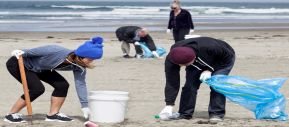 People cleaning up beach