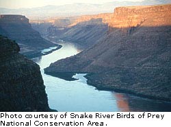 Snake River gorge photographed later in the day. Snake River gorge photographed later in the day.