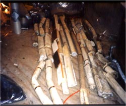 photograph of asbestos photograph of asbestos