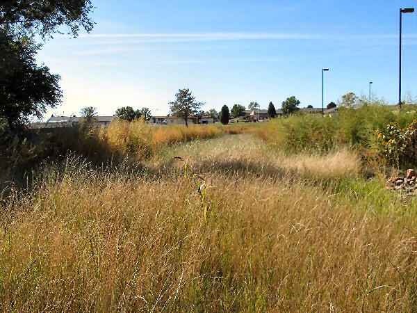 vegetative swale in Ft Carson, Colo.