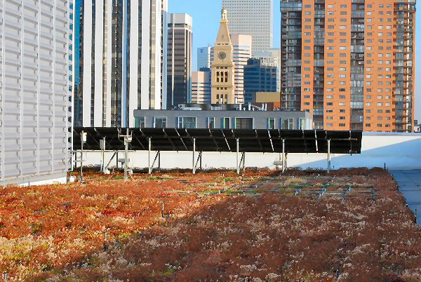 Region 8 roof photo