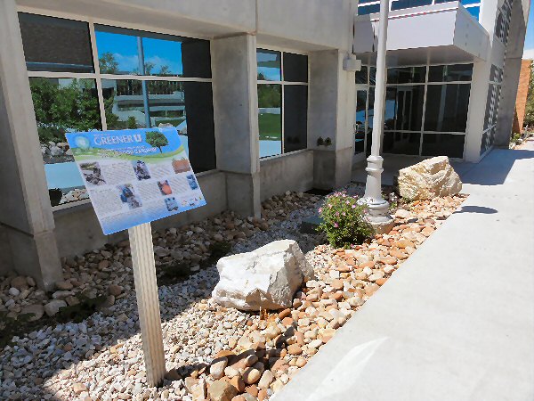 University of Utah rain garden