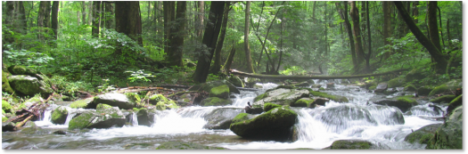 photo of water fall