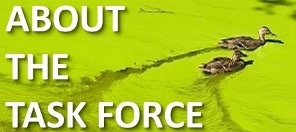 About the Hypoxia Task Force Duck Image