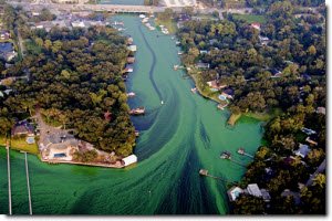 Impact of air pollution on environment Impact of air pollution on environment