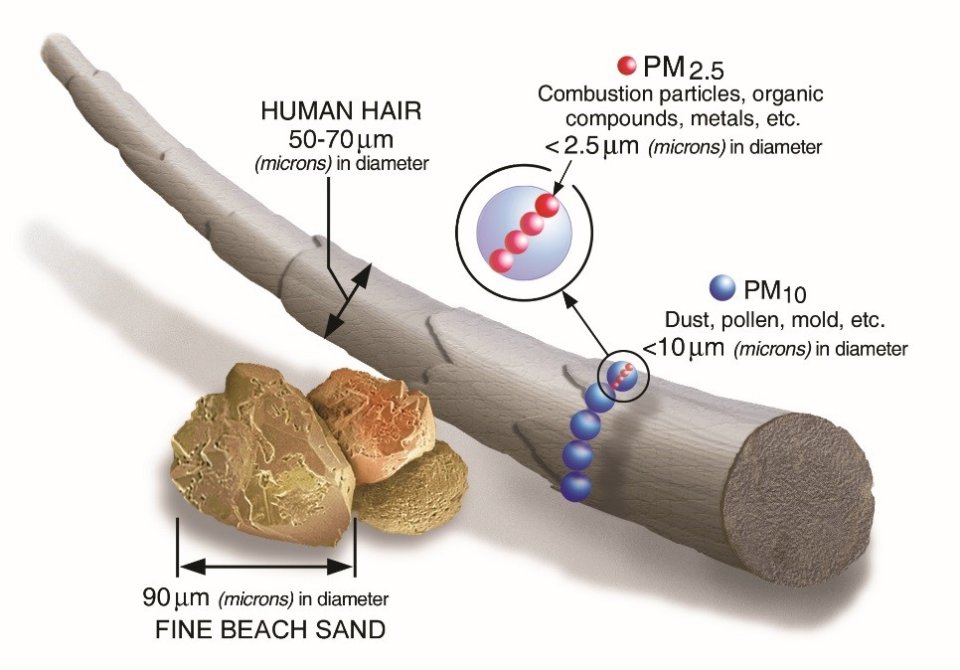 fine and coarse particles are smaller than the diameter of a human hair fine and coarse particles are smaller than the diameter of a human hair