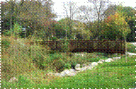 A grove with wetland plants, Saylor Grove, Philadelphia.