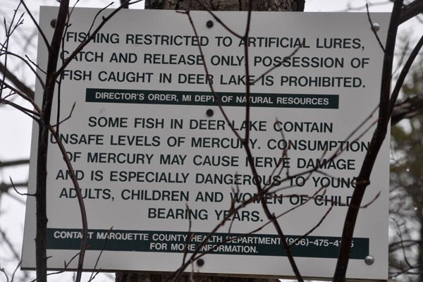 Sign at Deer Lake AOC warning of fish consumption advisories